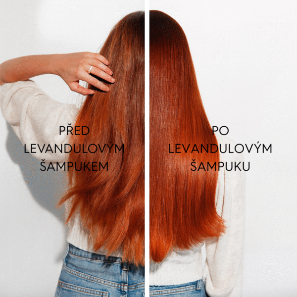 Levandulový šampuk pro hebké a lesklé vlasy