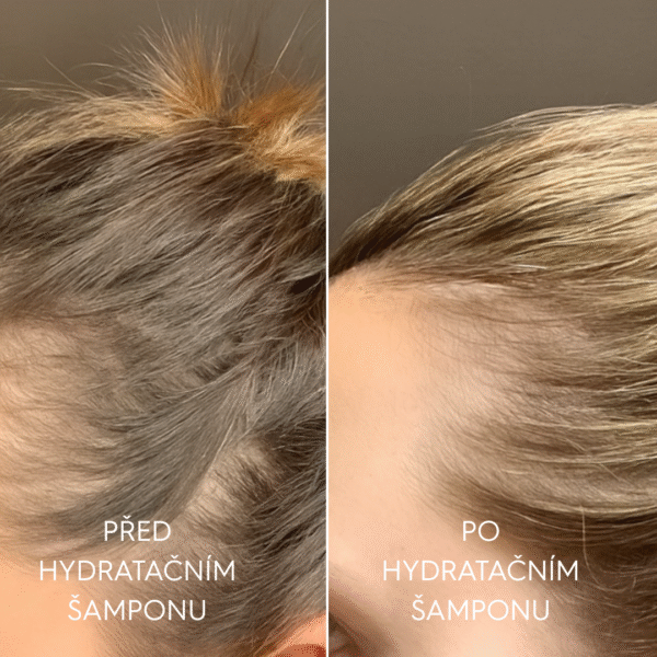 Hydratační šampon pro poškozené vlasy